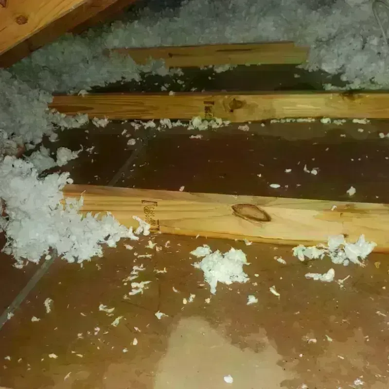 Attic Water Damage in Southern Pines, NC